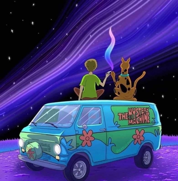 shaggy442